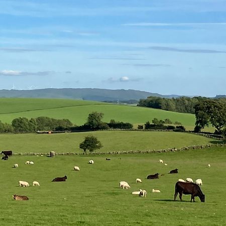 Wee Shepherds Hut Maybole 外观 照片