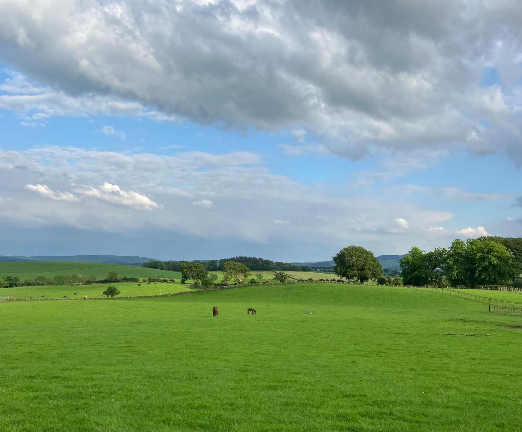 Wee Shepherds Hut Maybole 外观 照片