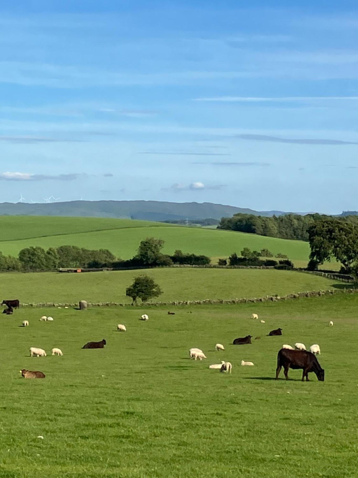 Wee Shepherds Hut Maybole 外观 照片
